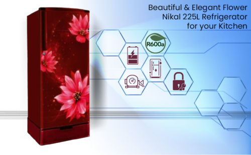 NIKAI 225 LITERS DEFROST REFRIGERATOR | MODEL NRF225DINS