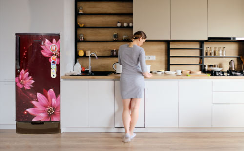 NIKAI 225 LITERS DEFROST REFRIGERATOR | MODEL NRF225DINS