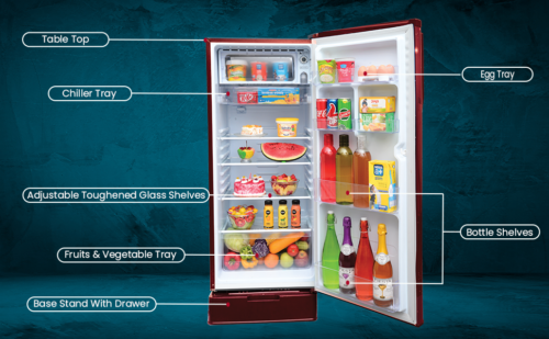 NIKAI 225 LITERS DEFROST REFRIGERATOR | MODEL NRF225DINS