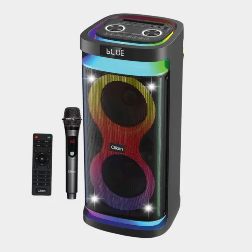 Rechargeable Party Box – 6.5" + Mic CK877