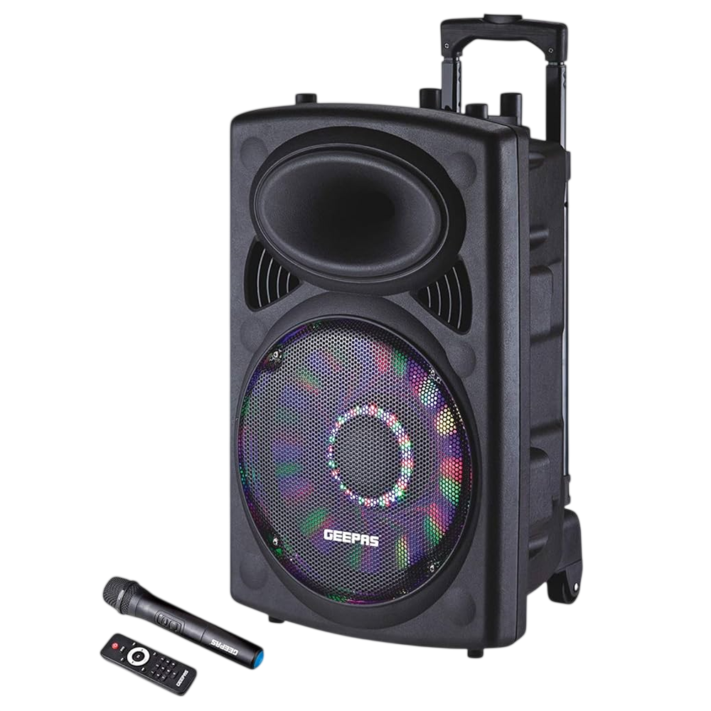 regency-geepasSPEAKER GMS 8519
